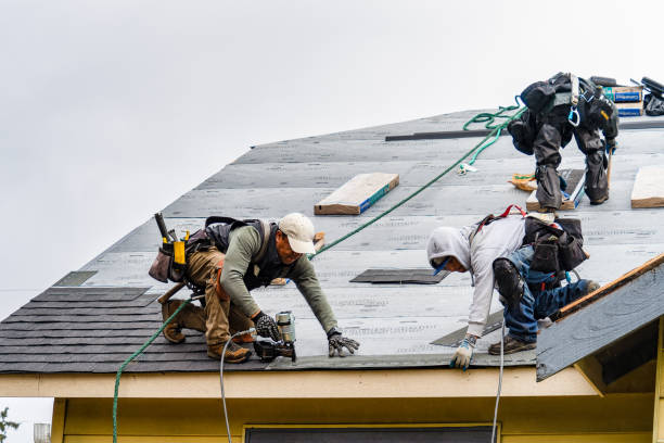 Professional Gutter Installation technician working in Wilson, AR